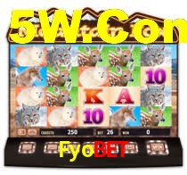 Crash Games Statistics Fyobet